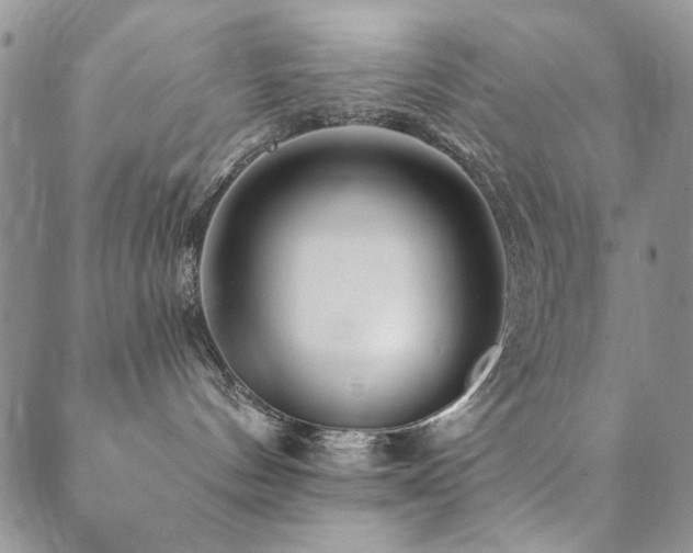 X0000089660144200706211138