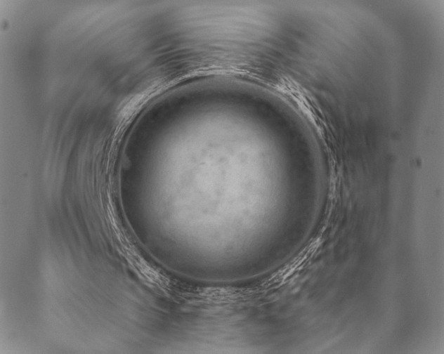 X0000089660145200706211137