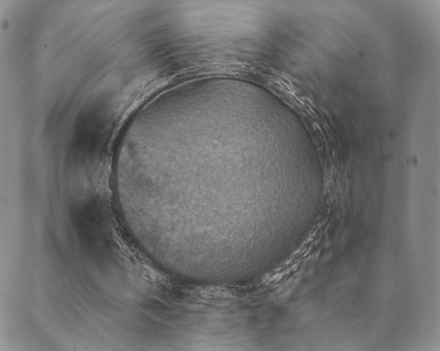 X0000089660146200706211137
