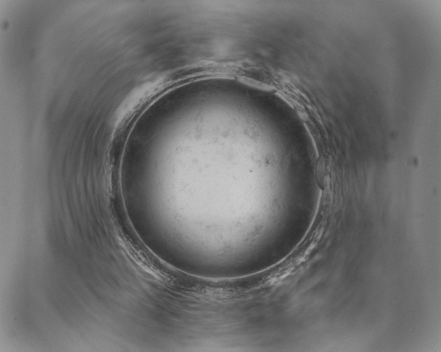 X0000089660149200706211137