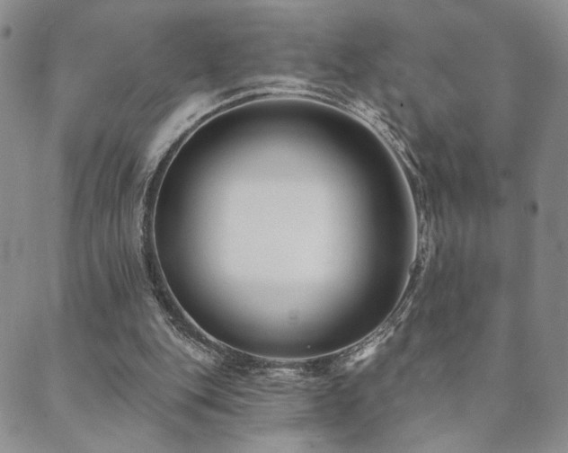 X0000089660151200706211137