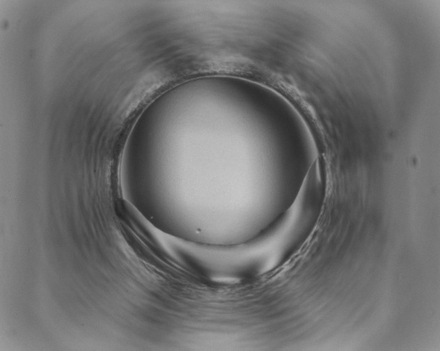 X0000089660154200706211137