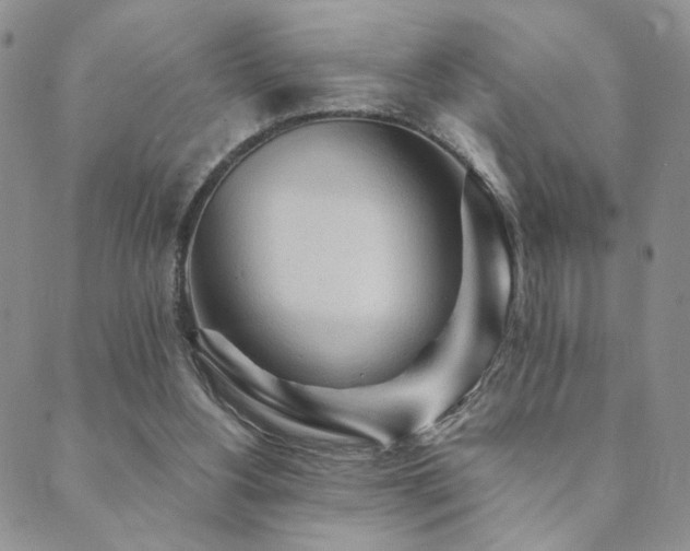 X0000089660156200706211137