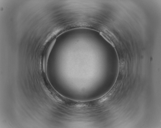 X0000089660158200706211137