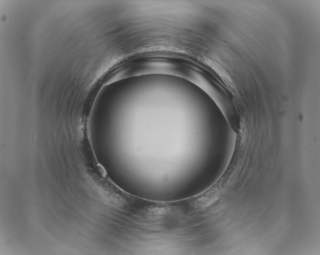 X0000089660160200706211137