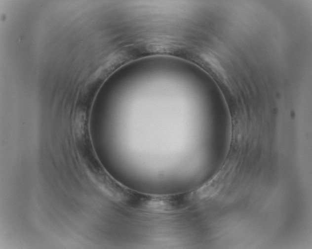 X0000089660171200706211138