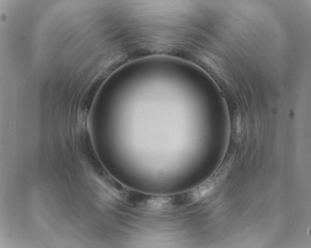 X0000089660172200706211138