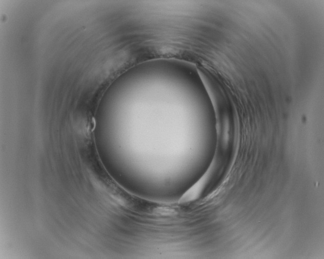 X0000089660176200706211138