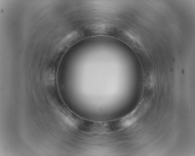 X0000089660179200706211138