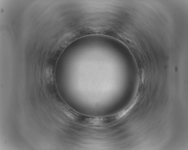 X0000089660182200706211138