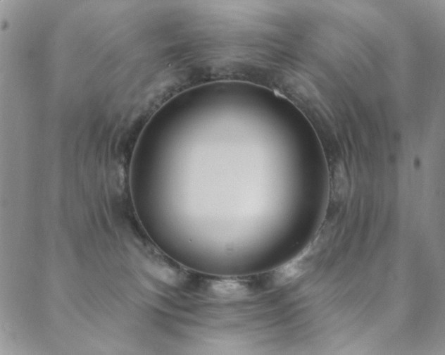 X0000089660183200706211138