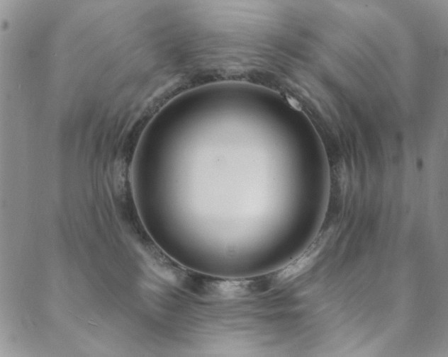 X0000089660184200706211138
