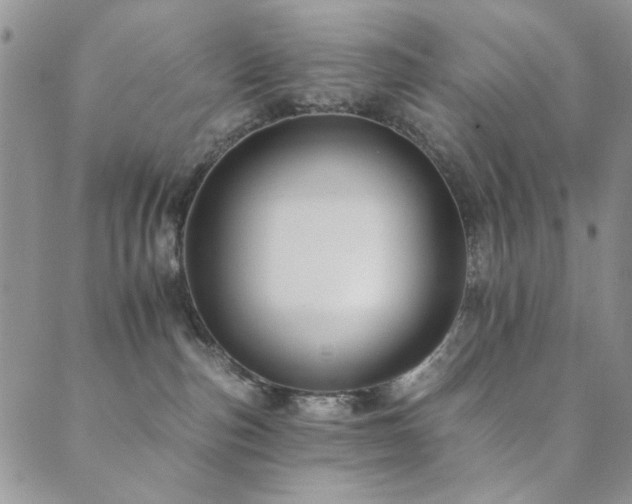 X0000089660187200706211138