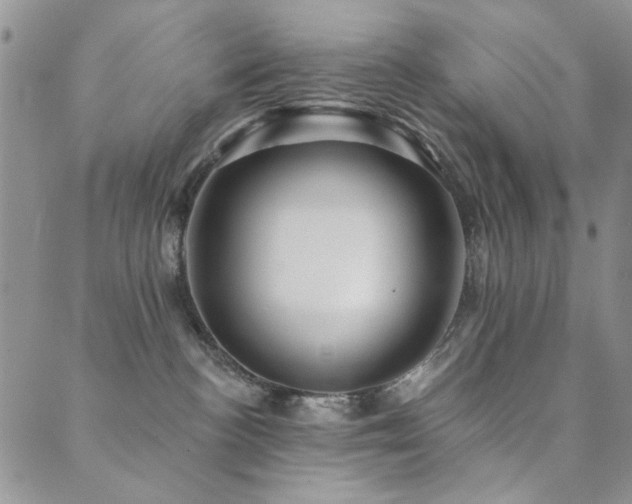 X0000089660188200706211138