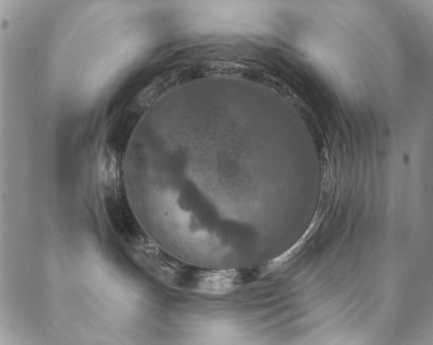 X0000089660191200706211138