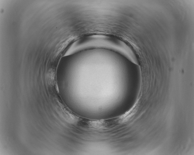 X0000089660192200706211138