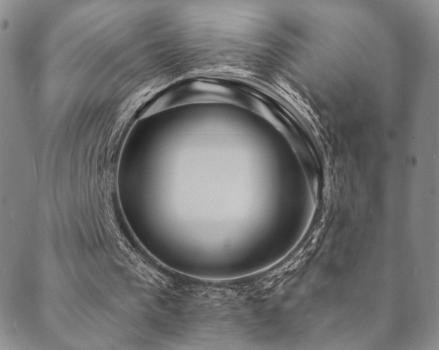 X0000089660193200706211137