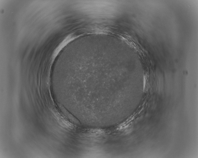 X0000089660195200706211137