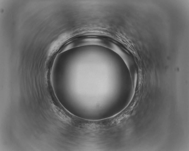 X0000089660197200706211137