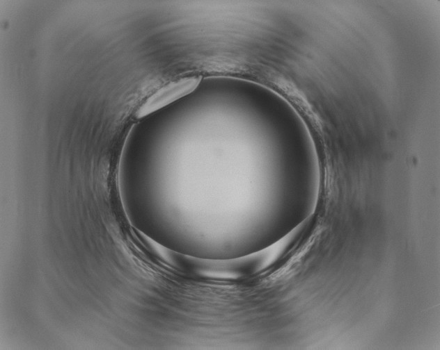X0000089660201200706211137