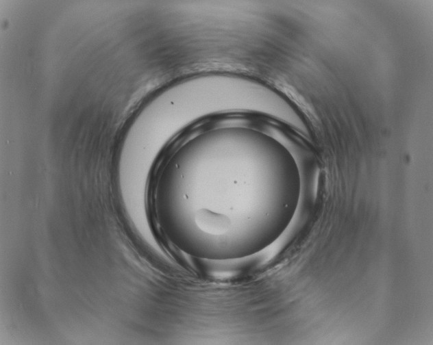 X0000089660207200706211137