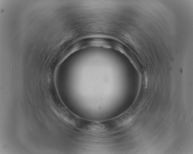 X0000089660215200706211137