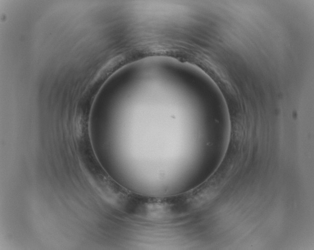 X0000089660216200706211137