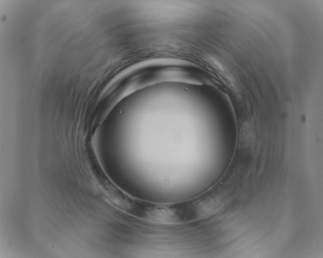 X0000089660217200706211137