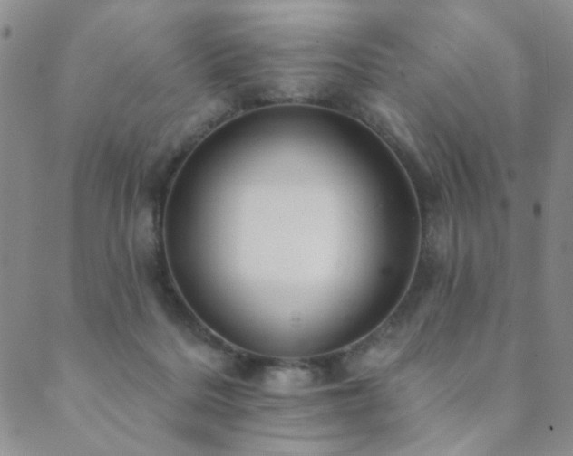 X0000089660220200706211137