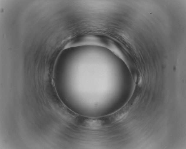 X0000089660221200706211137