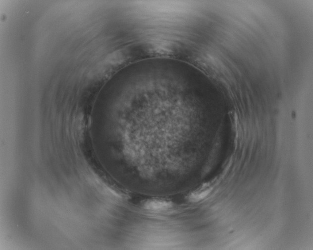 X0000089660223200706211137