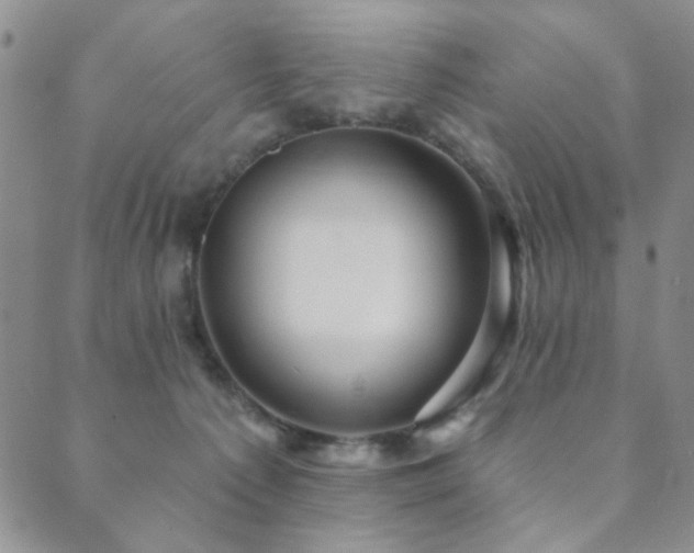 X0000089660225200706211137