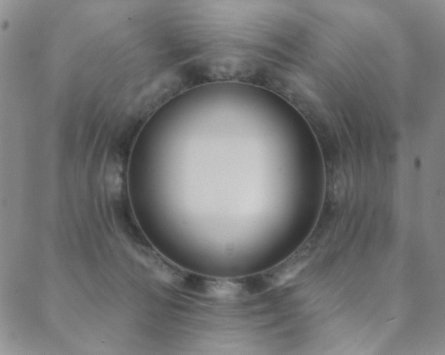 X0000089660226200706211137