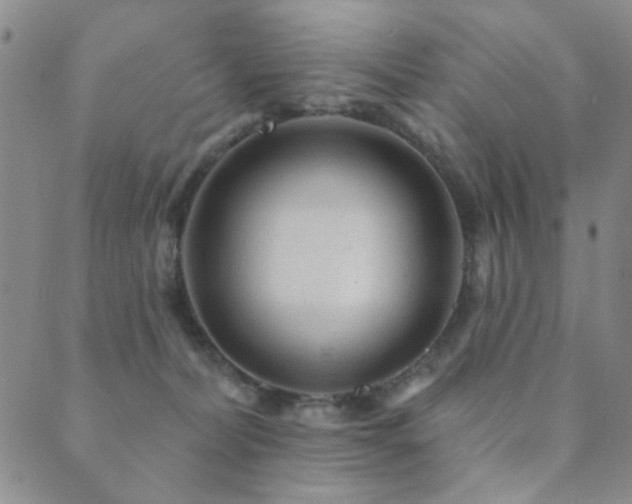X0000089660228200706211137