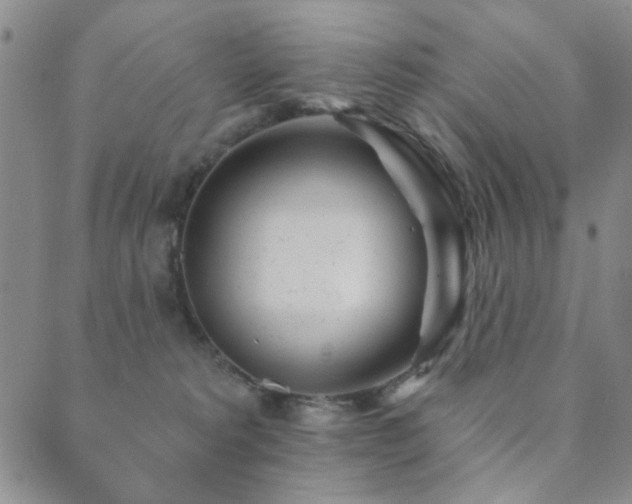 X0000089660229200706211137