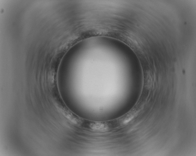 X0000089660230200706211137