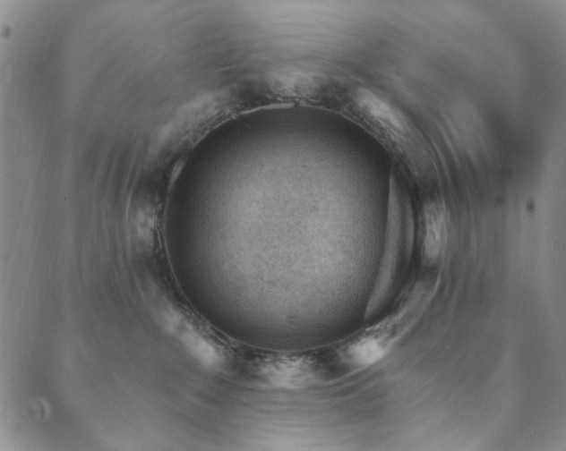 X0000089660235200706211137