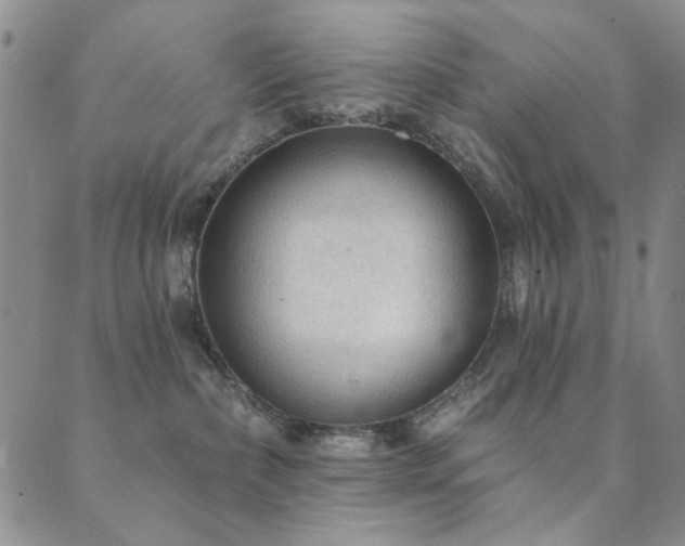 X0000089660236200706211137