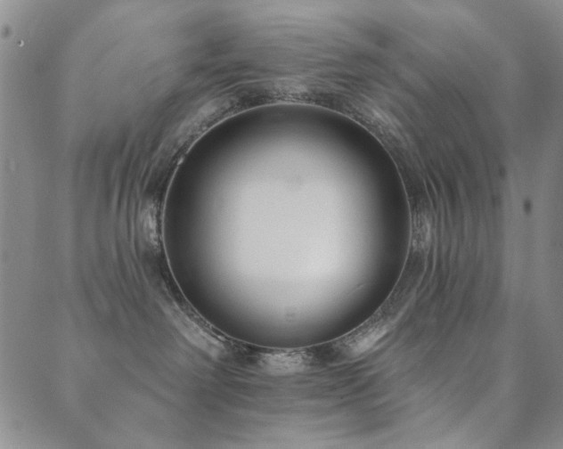 X0000089660238200706211136