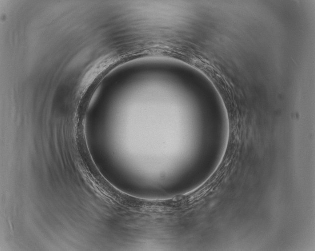 X0000089660242200706211136