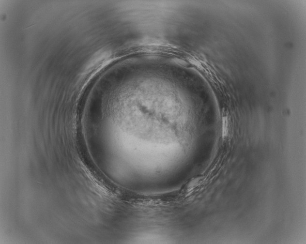 X0000089660243200706211136