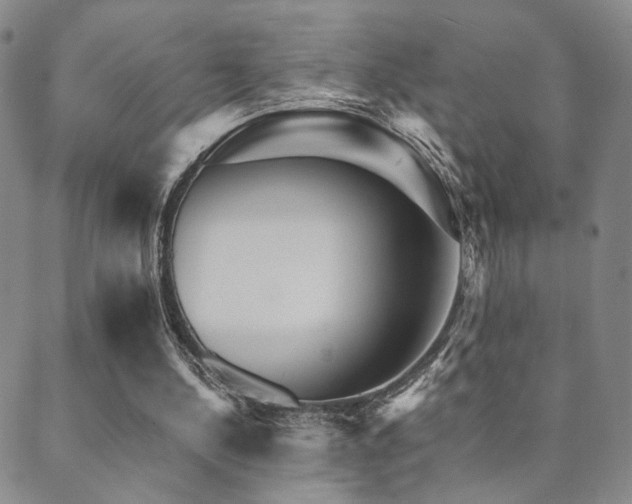 X0000089660244200706211136