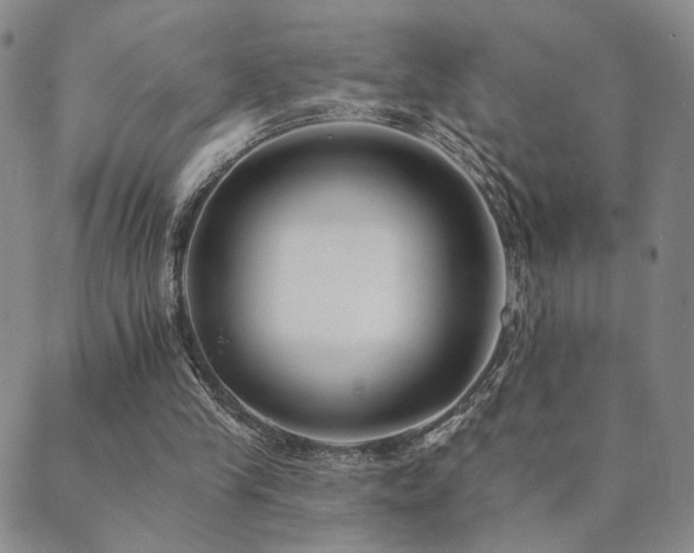 X0000089660245200706211136