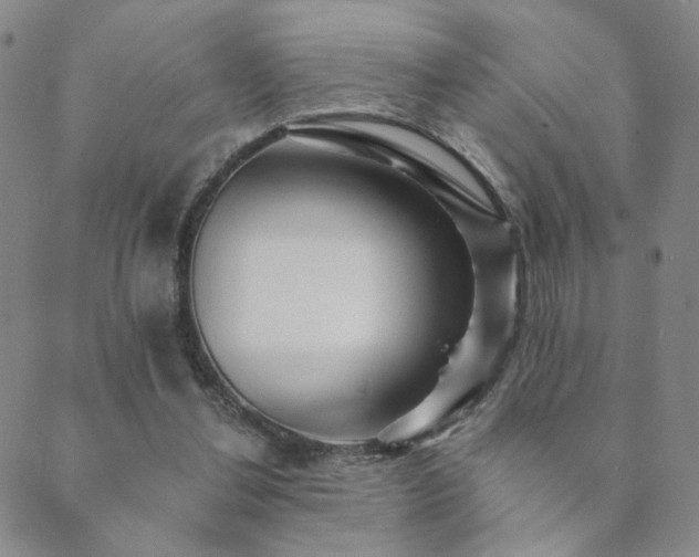 X0000089660252200706211136