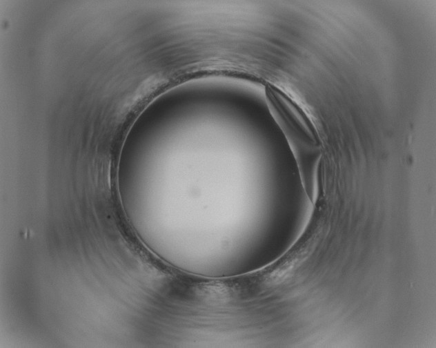 X0000089660253200706211136