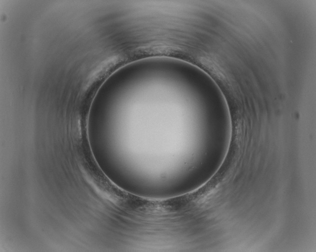X0000089660254200706211136