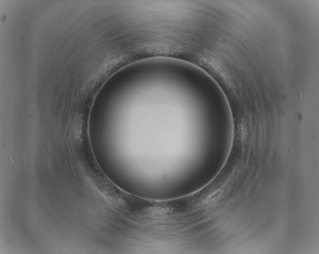 X0000089660255200706211136
