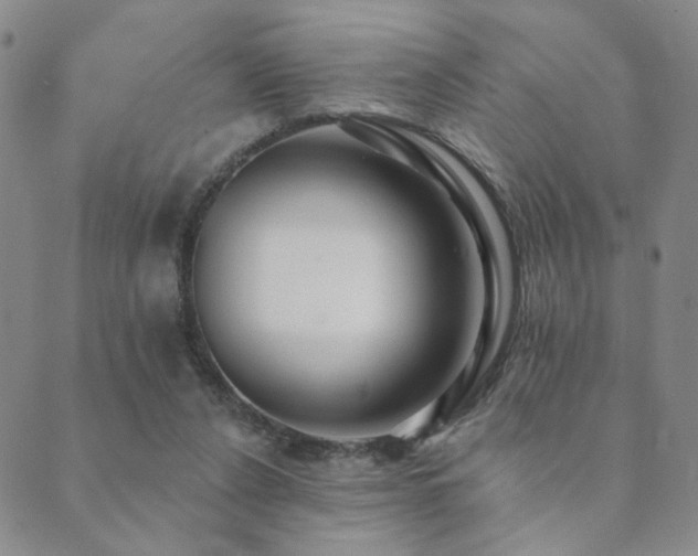 X0000089660256200706211136