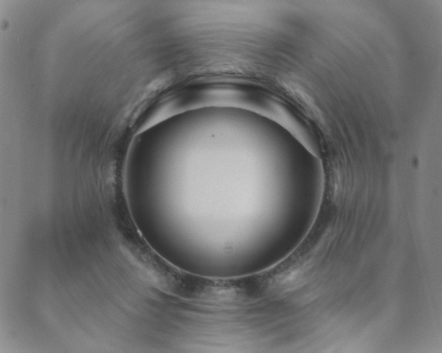 X0000089660260200706211136