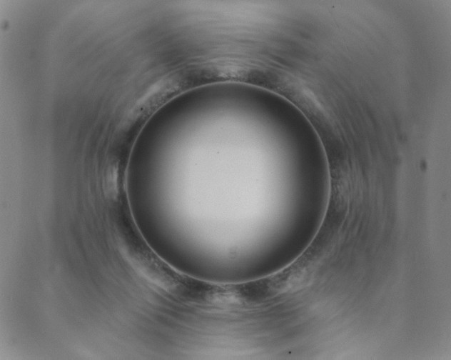 X0000089660262200706211136